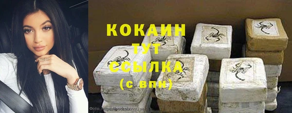 PSILOCYBIN Богородск