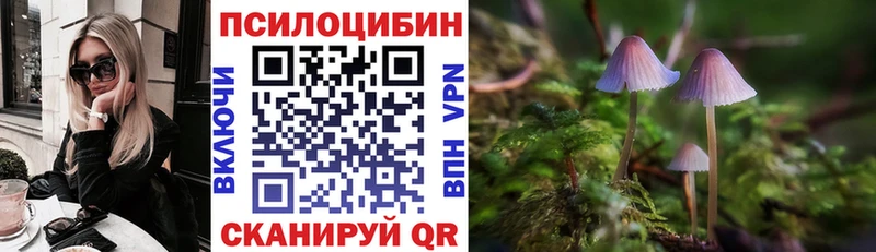hydra зеркало  Гусев  Псилоцибиновые грибы Psilocybine cubensis 